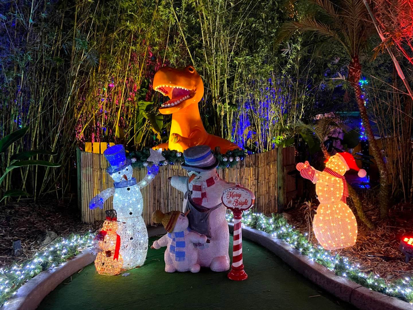 , A Spectacular Sight – Night of a Million Lights!