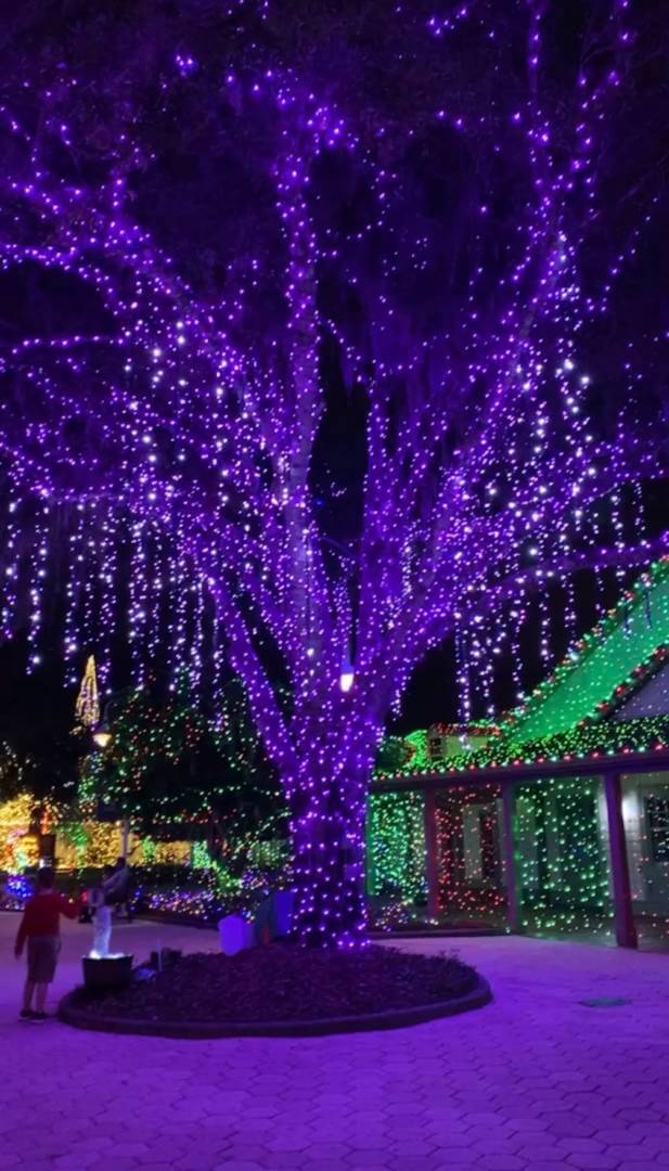 , A Spectacular Sight – Night of a Million Lights!
