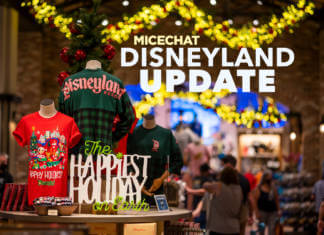 Disneyland Update: Closure Concerns, Christmas Coming, and Park Preparations