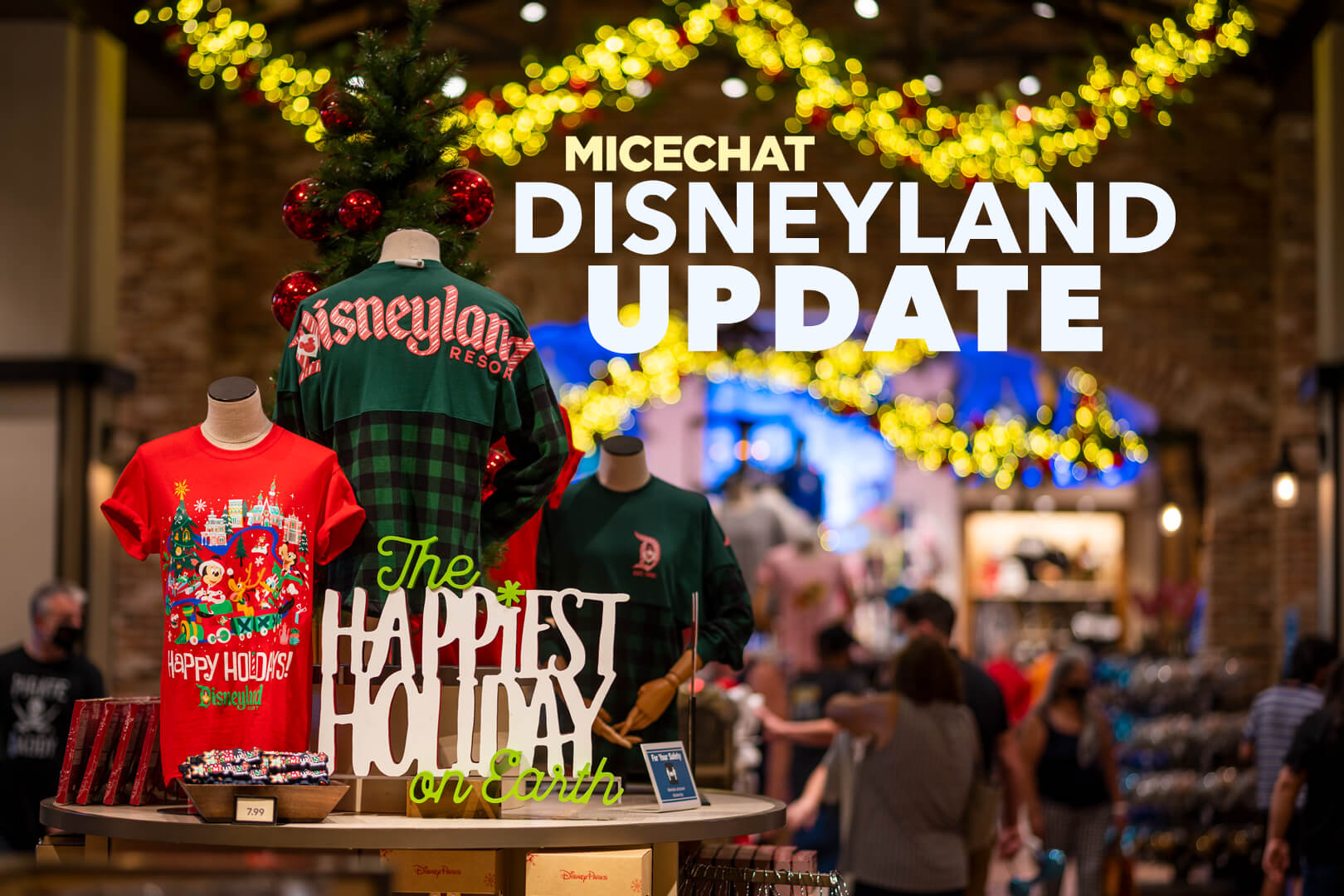 Disneyland Update: Closure Concerns, Christmas Coming, and Park Preparations