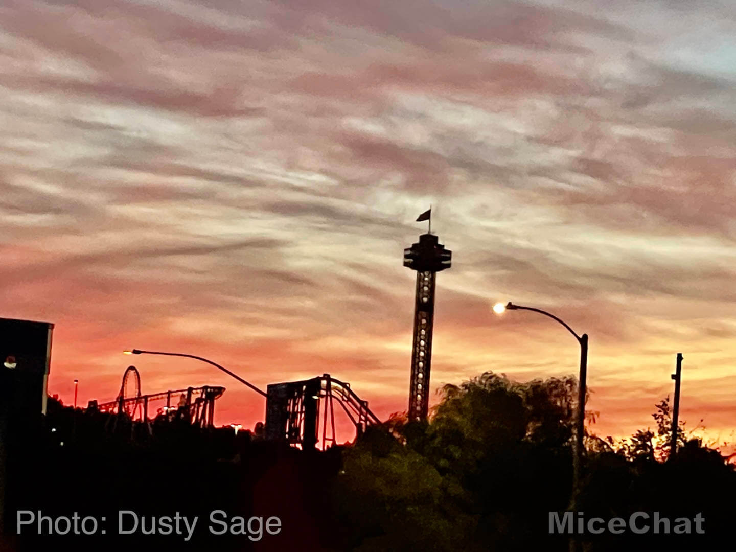 , Disneyland Update – Holiday Hopes and Humbugs