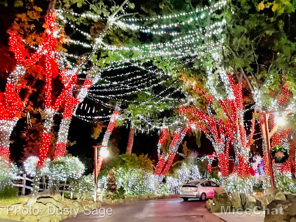 , Disneyland Update – Holiday Hopes and Humbugs
