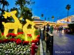 Taste of Knotts-IMG_1175-micechat_sharing