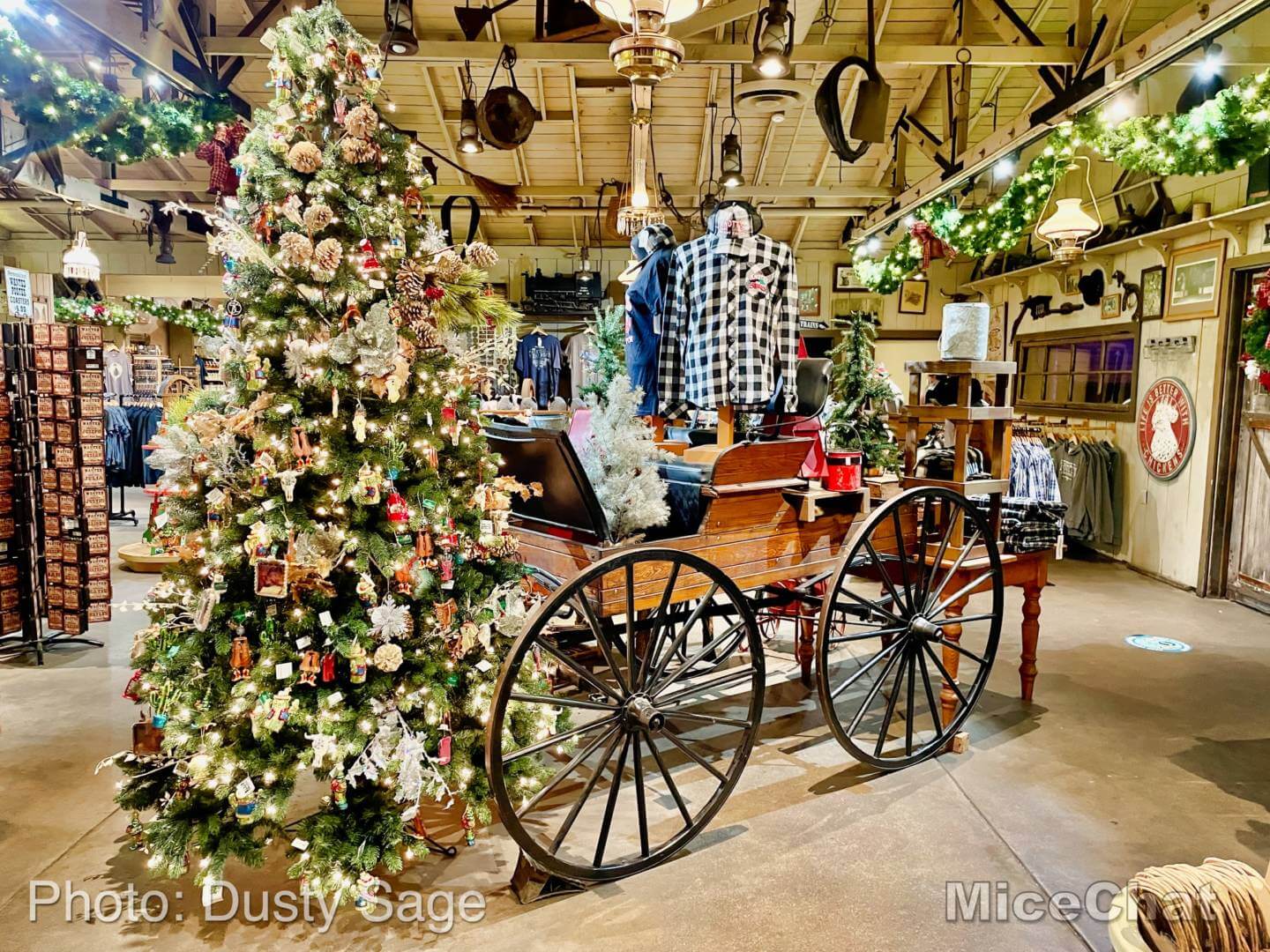 , Disneyland Update – Holiday Hopes and Humbugs
