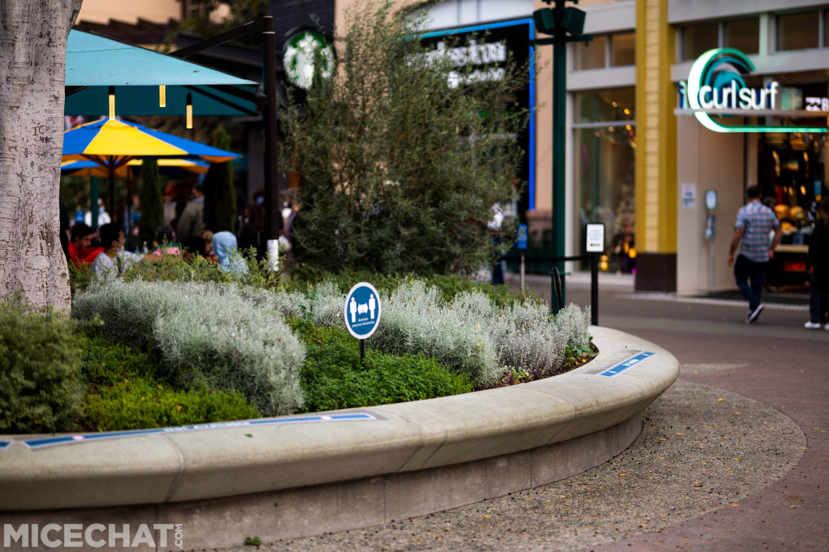 , Disneyland Update: Red Car, Christmas, and a Grand Reopening!