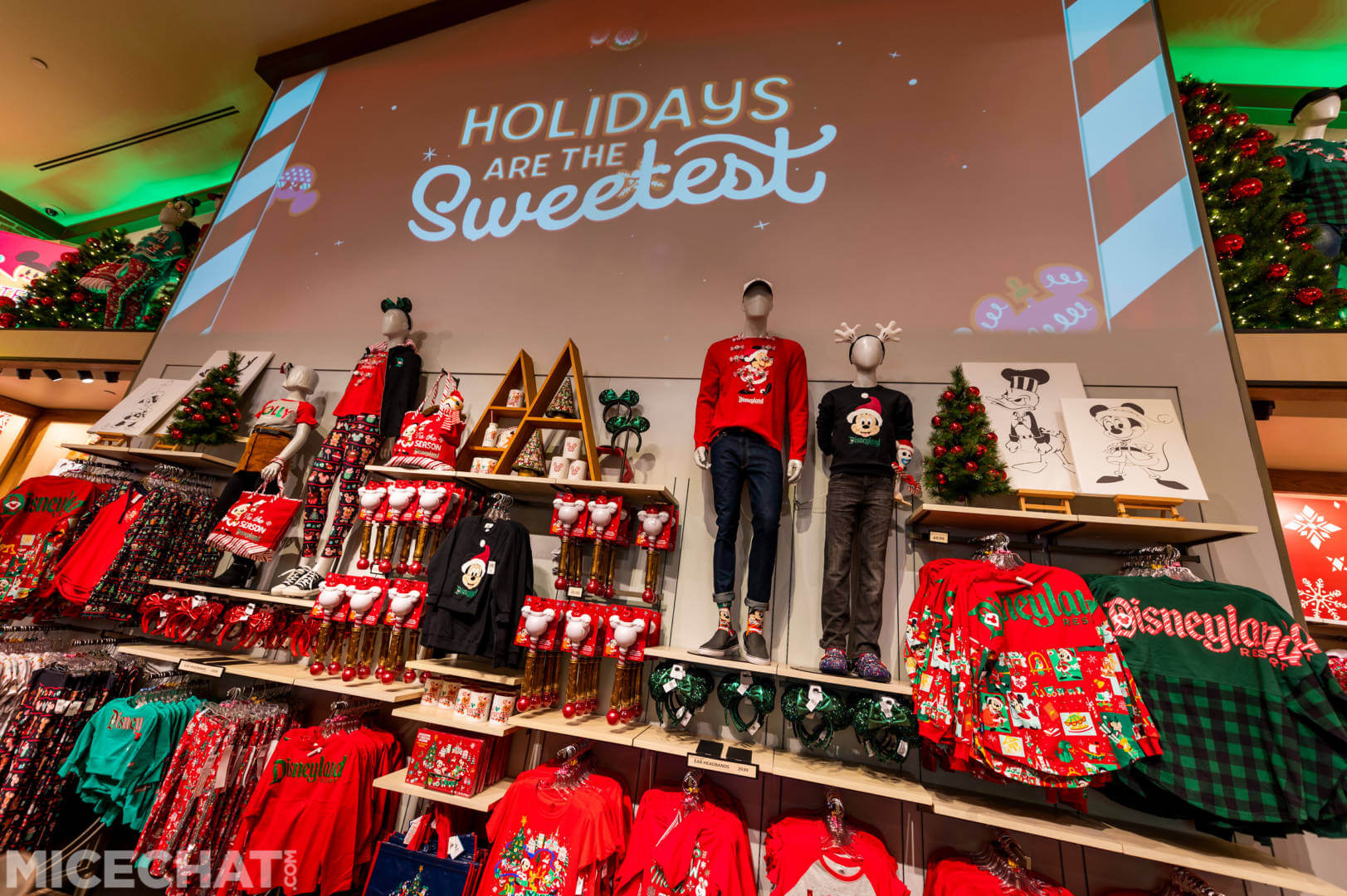 , Disneyland Update: Closure Concerns, Christmas Coming, and Park Preparations