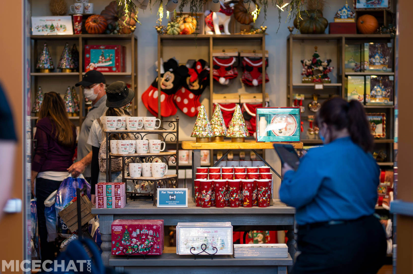 , Disneyland Update: Closure Concerns, Christmas Coming, and Park Preparations