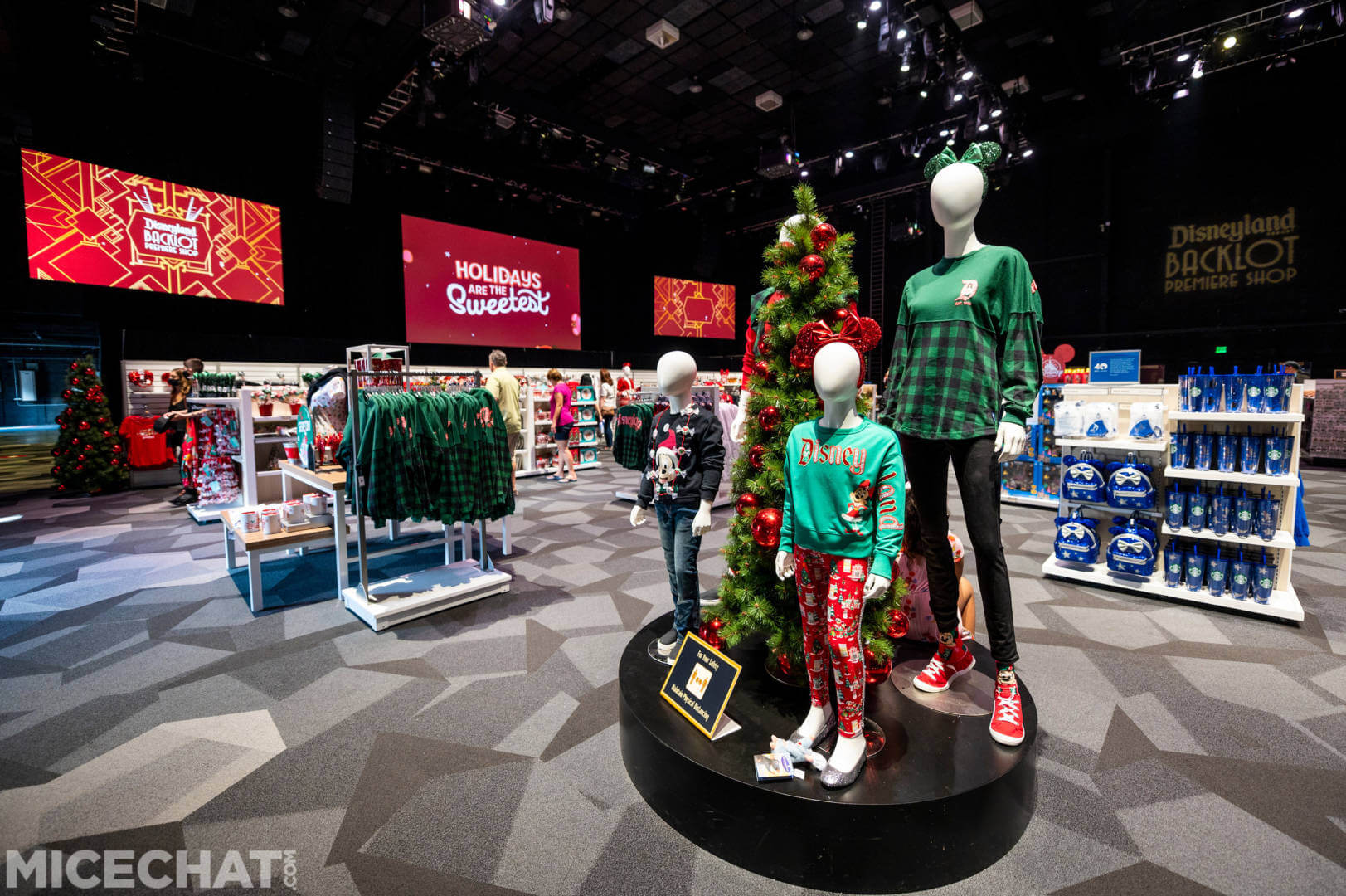 , Disneyland Update: Closure Concerns, Christmas Coming, and Park Preparations