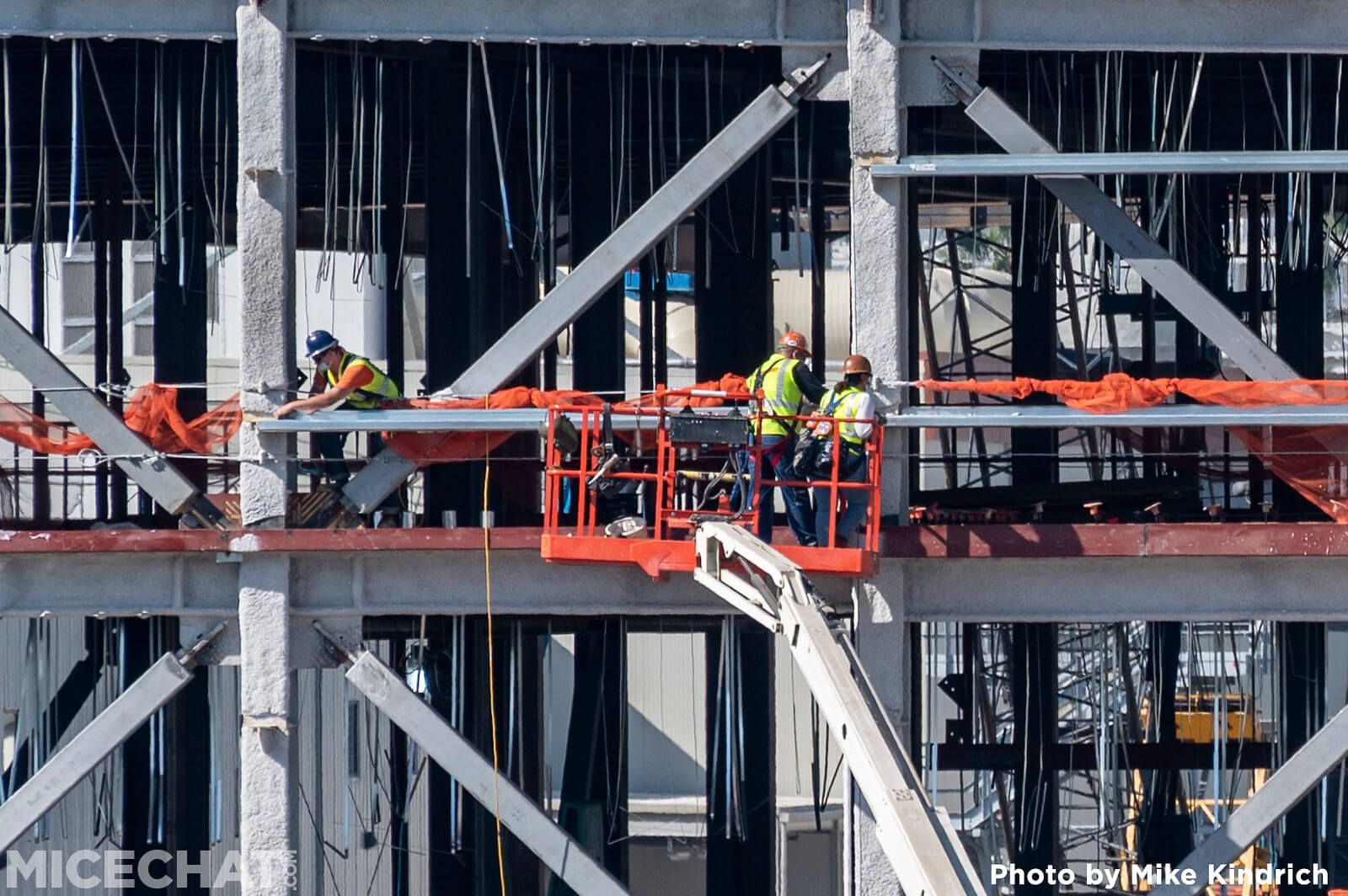 , Disneyland Update: Closure Concerns, Christmas Coming, and Park Preparations