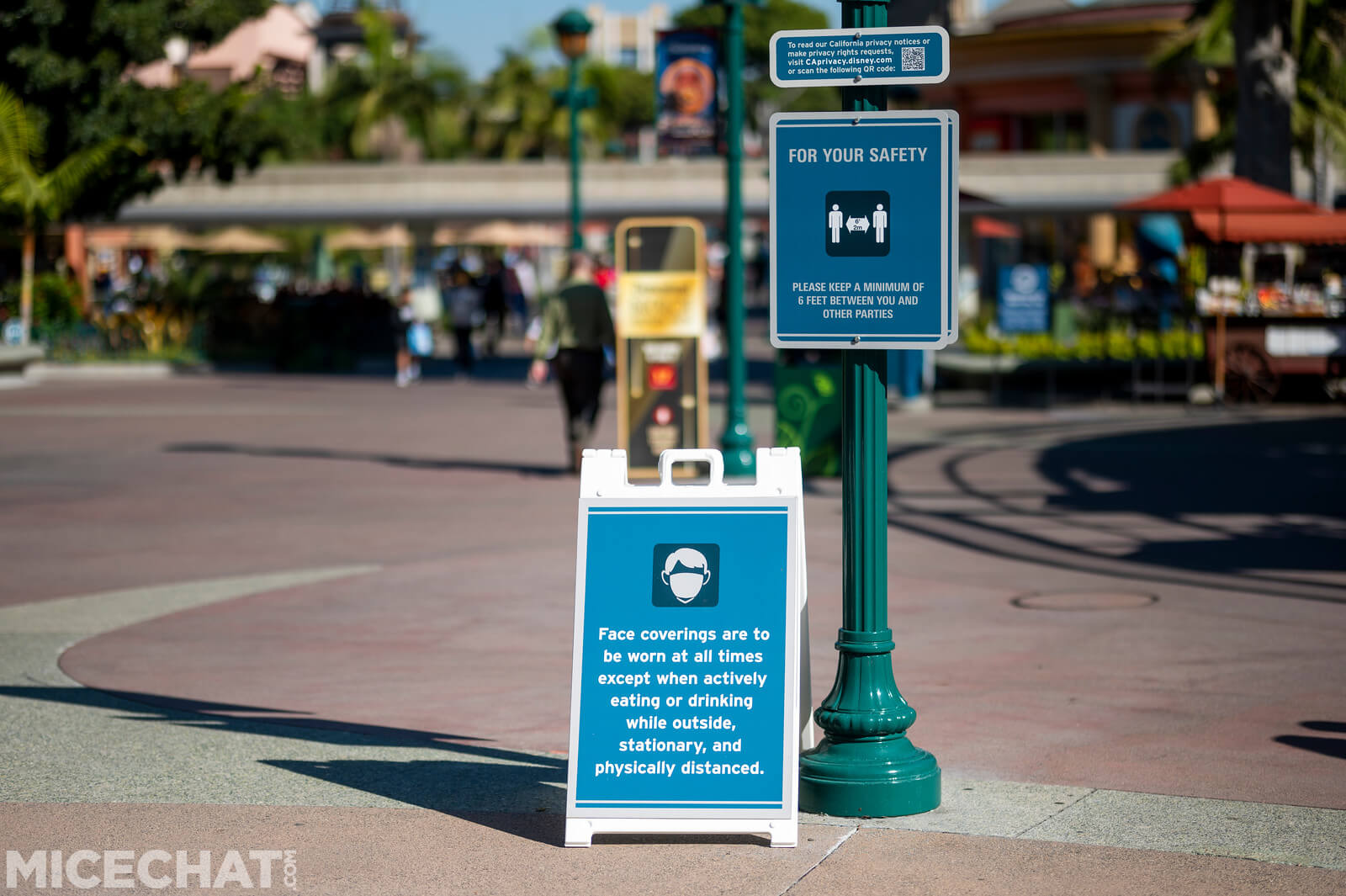 , Disneyland Update: Closure Concerns, Christmas Coming, and Park Preparations