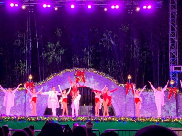 , Christmas Town Sparkles at Busch Gardens Tampa
