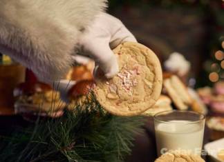 Close up of a sugar cookie