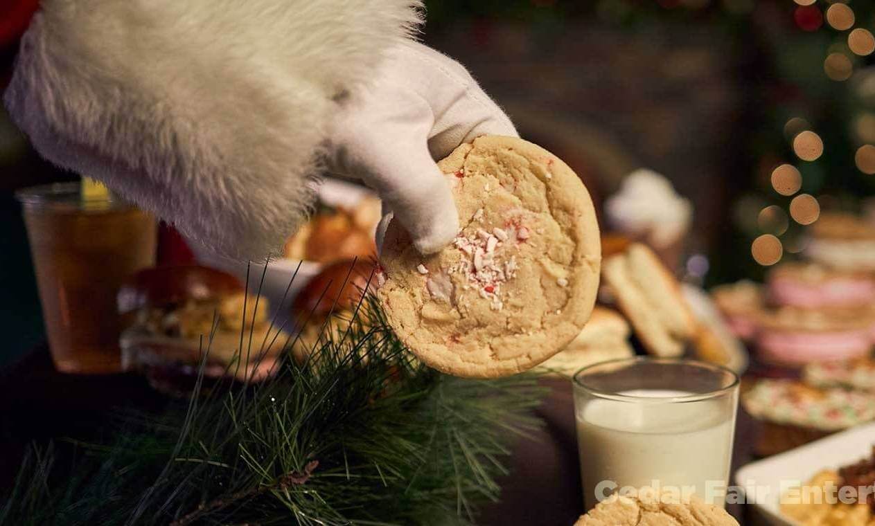 Knott’s Berry Farm Update: A Taste of the Merry Holiday Season Ahead Close up of a sugar cookie