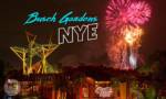 Busch Gardens NYE 2021 MiceChat
