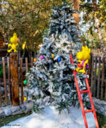Camp Snoopy Woodstock