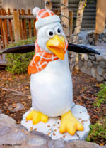 Camp snoopy penguins 2