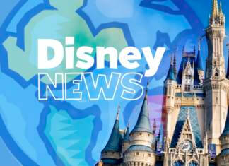DISNEY NEWS: Disney World Decline, Disneyland Increase & Other Disney Q2 Earnings Reveals!