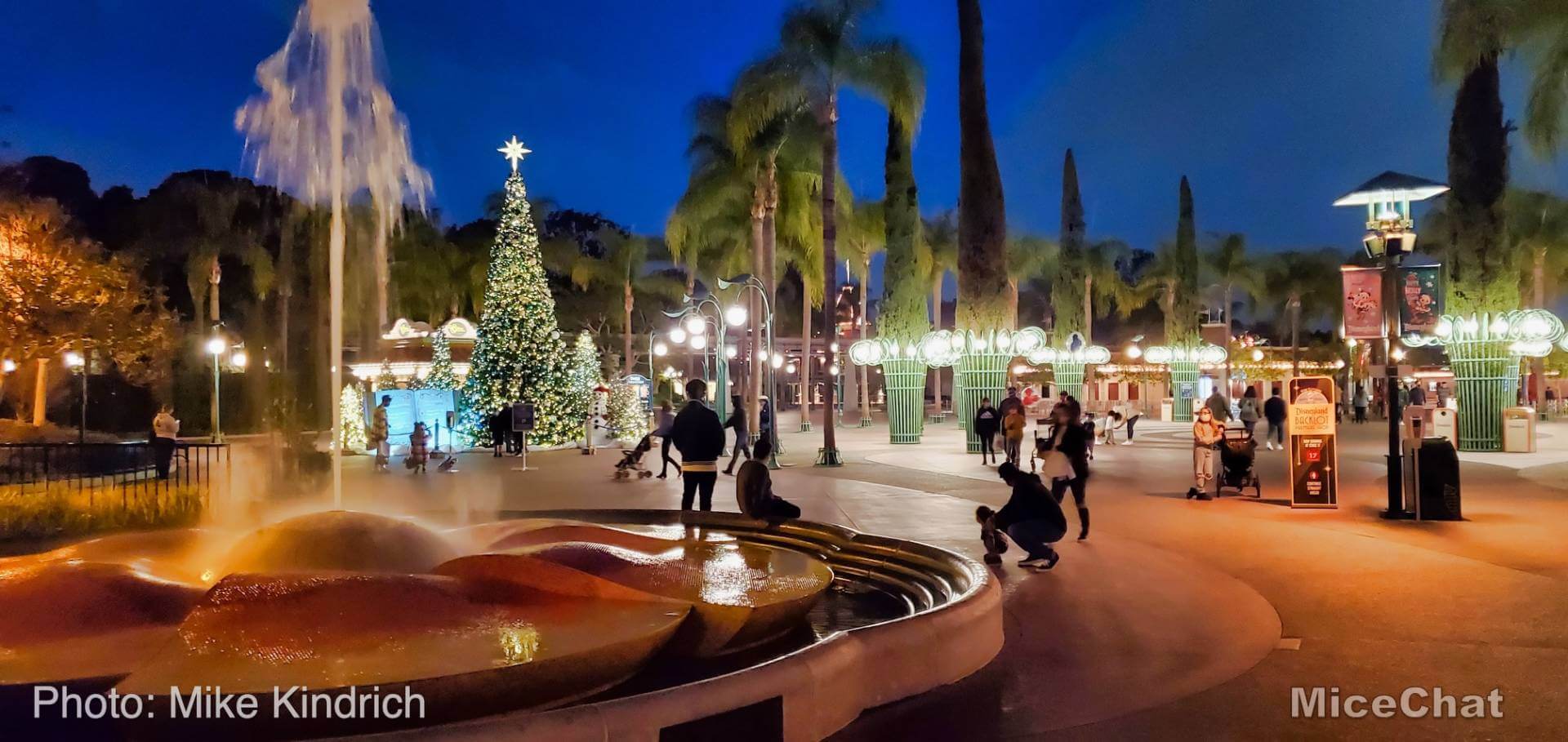 , Disneyland Update – High Above an Empty Disneyland