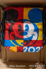 Disneyland-merchandise-update-december-2020-2021-cinch-backpack