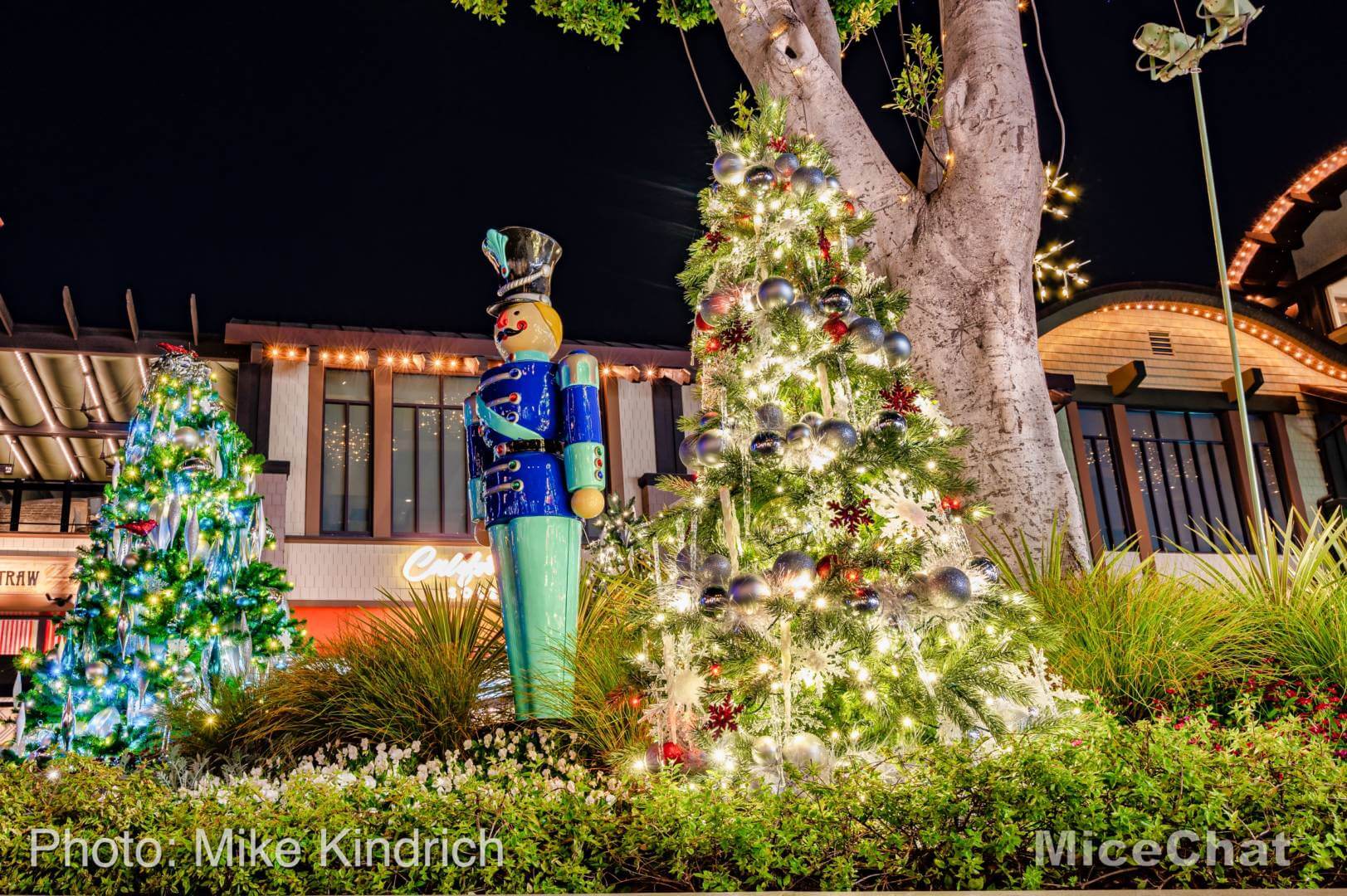 , UPDATED Disneyland News!!!  Two Steps Forward and Two Steps Back