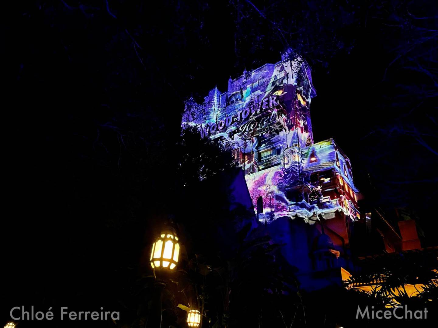 , Walt Disney World Update – Holiday Surprises & Hollywood Kitsch