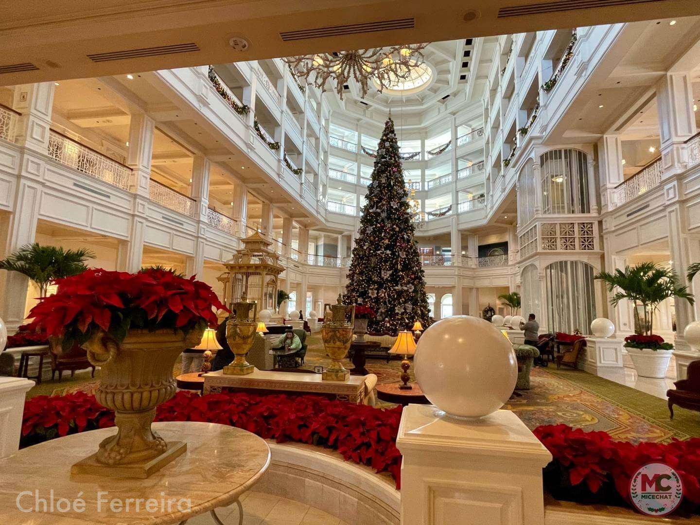 , Walt Disney World Update – It’s Christmas Time!