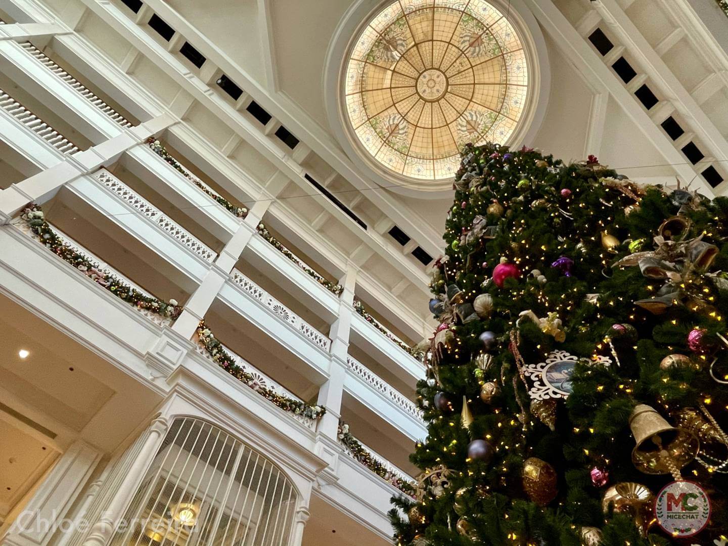 , Walt Disney World Update – It’s Christmas Time!