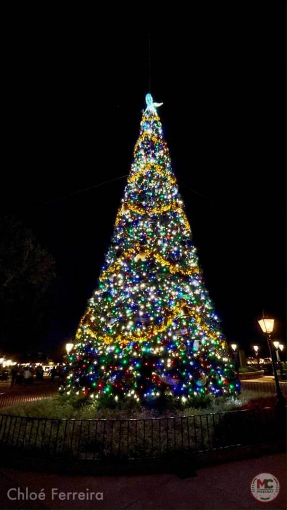 , Walt Disney World Update – It’s Christmas Time!