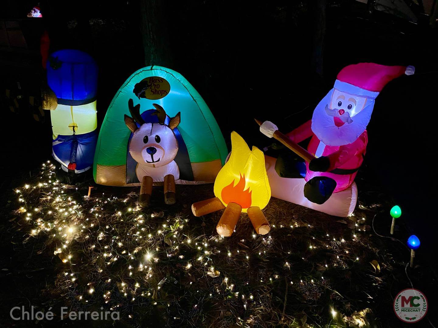 , Walt Disney World Update: Park Hop, Lights Pop, Cookie Stop