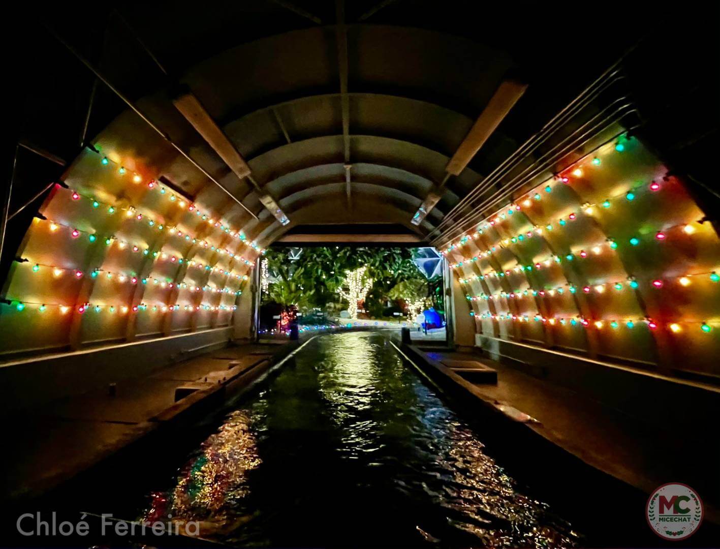 , Walt Disney World Update: Park Hop, Lights Pop, Cookie Stop