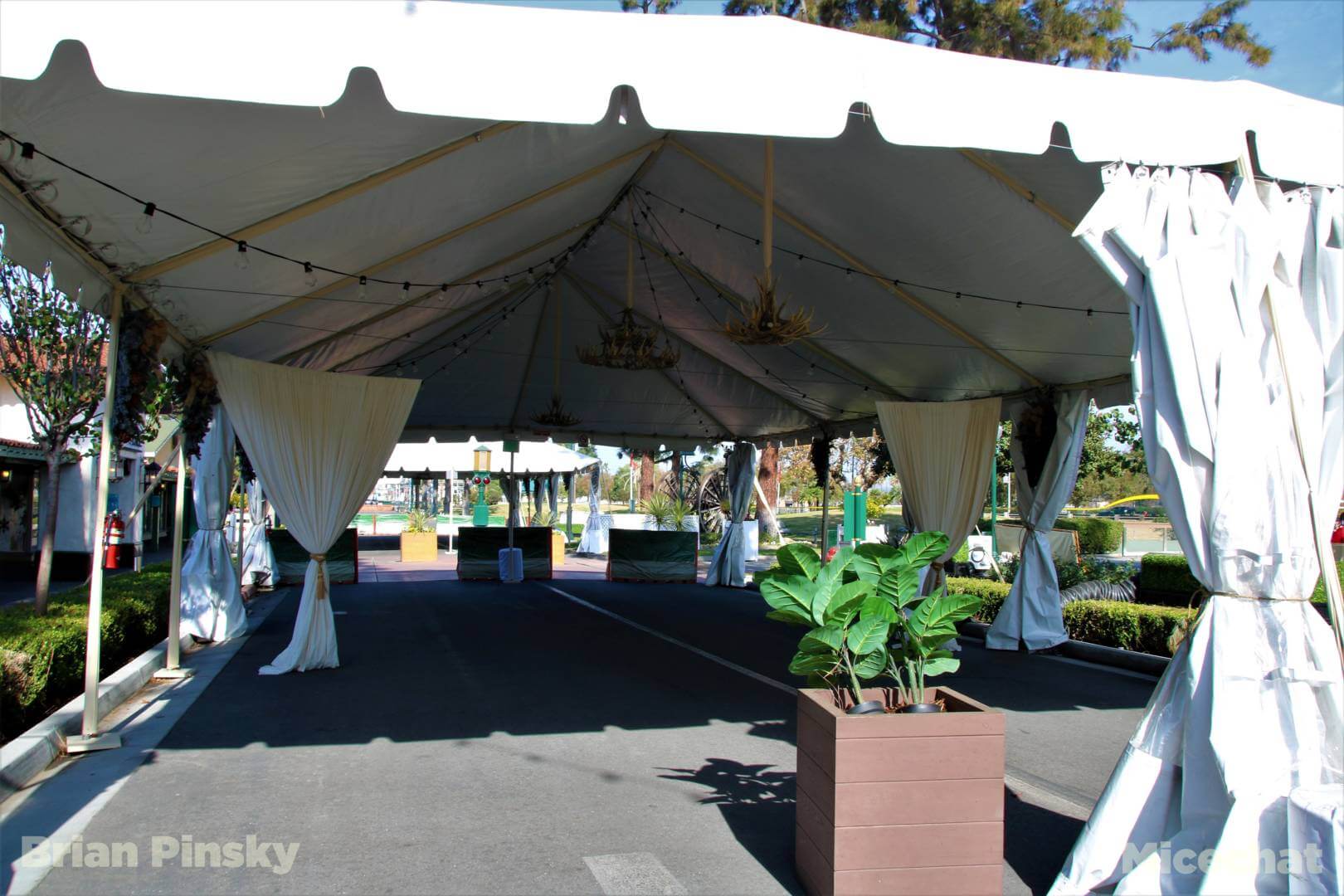 , Disneyland Resort Update – Holiday Twist and Avengers Surprise