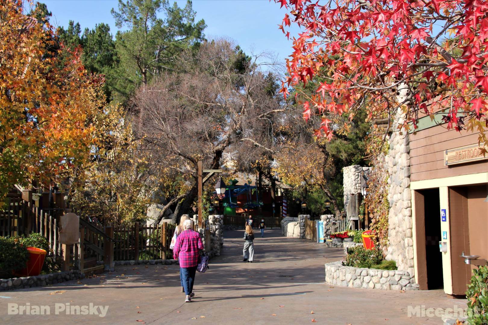 , Disneyland Resort Update – Holiday Twist and Avengers Surprise
