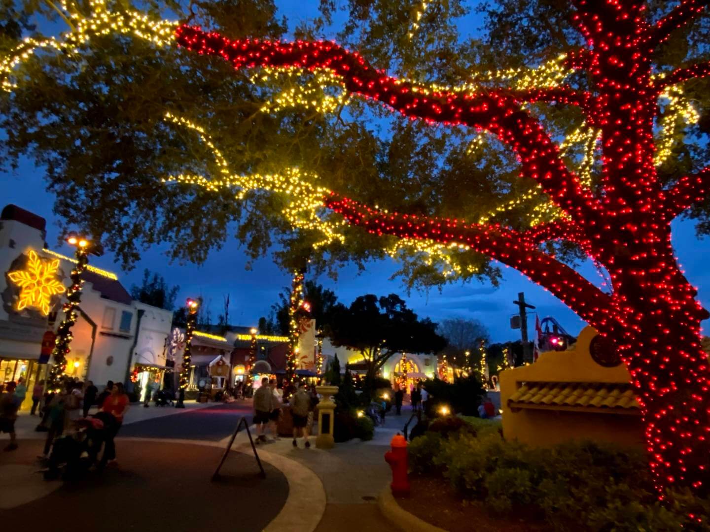 , Holiday Celebrations and fireworks at SeaWorld Orlando