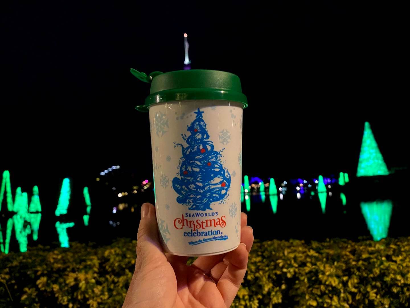 , Holiday Celebrations and fireworks at SeaWorld Orlando
