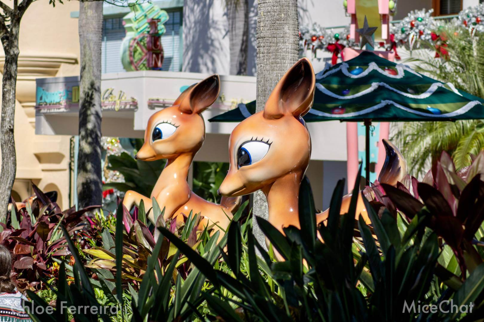 , Walt Disney World Update &#8211; Holiday Surprises &#038; Hollywood Kitsch