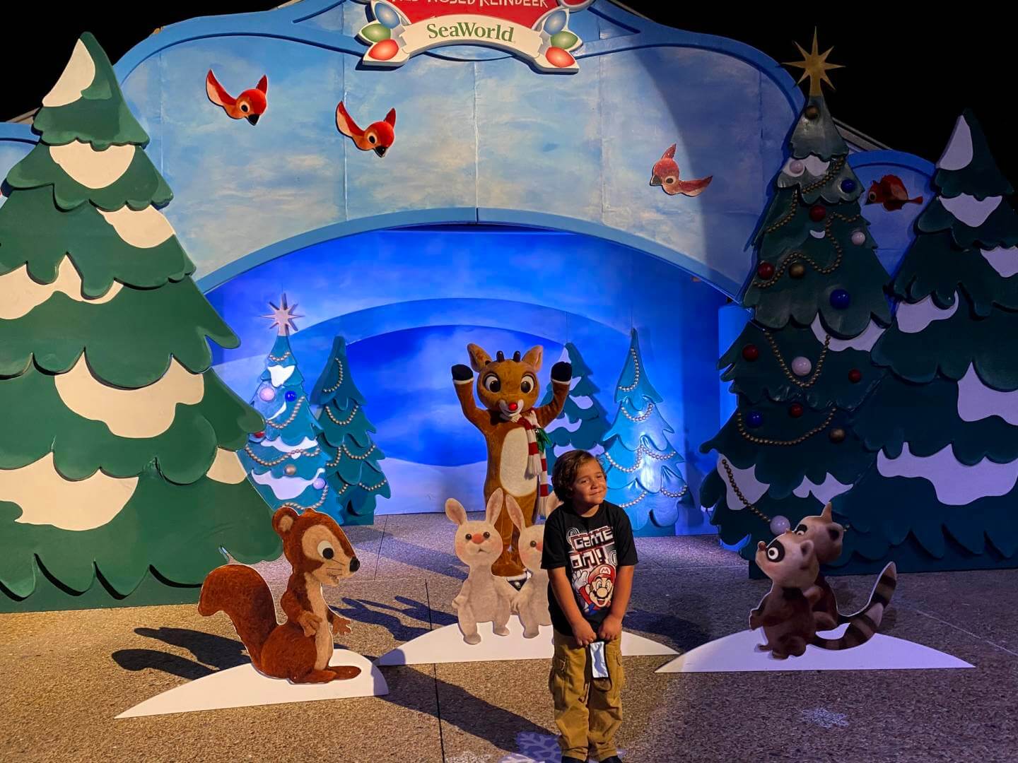 , Holiday Celebrations and fireworks at SeaWorld Orlando