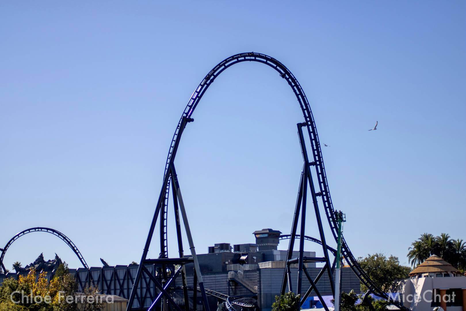 , Universal Orlando Update – VelociCoaster, Super Mario & Christmas!