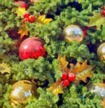 calico main tree closeup