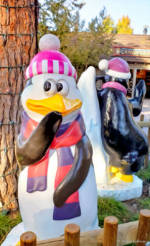 camp snoopy penguins 1