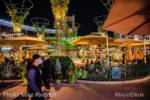 downtown disney resturants uva bar-micechat_sharing