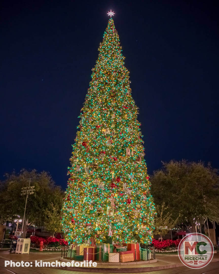 , Disneyland Resort Update &#8211; Holiday Twist and Avengers Surprise