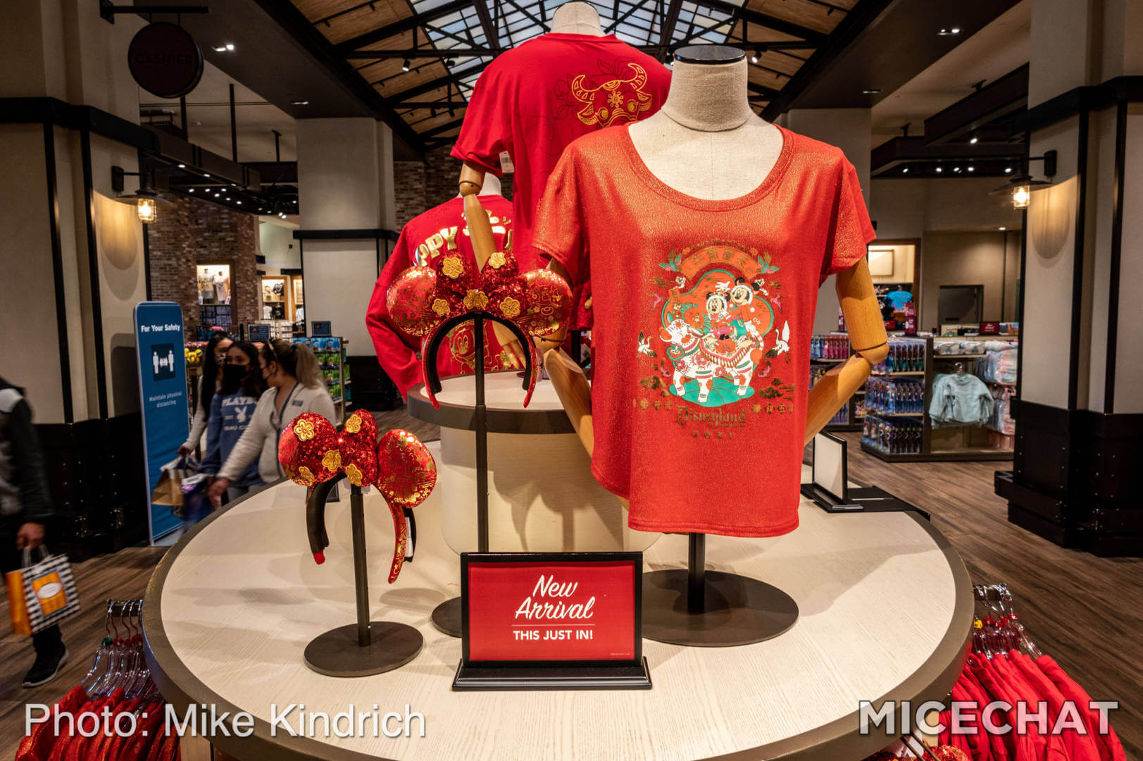 , Disneyland Merchandise Update: New Year New Gear