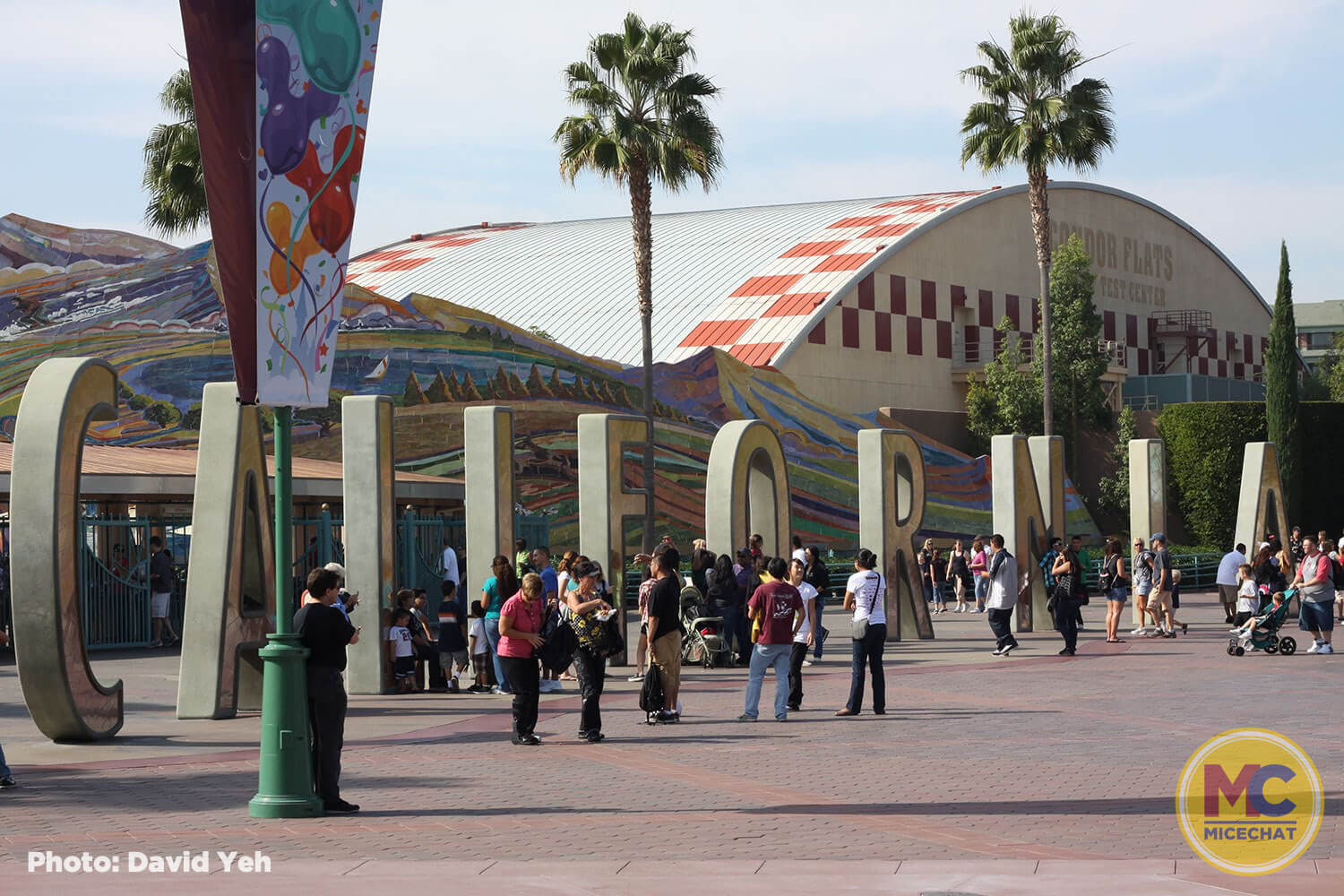 , Disneyland Update – Survey Says & Jungle News!