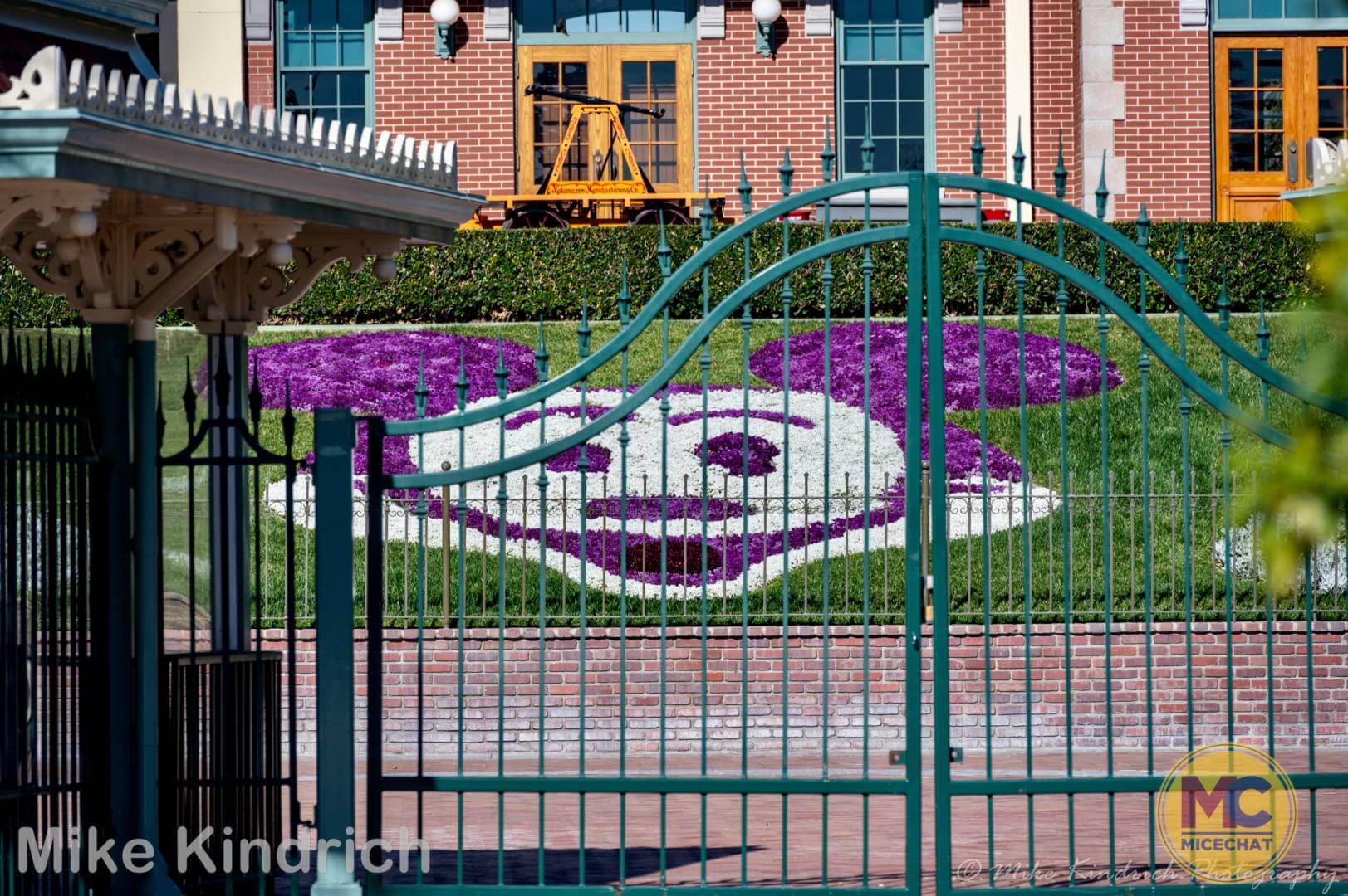 , Disneyland Update – The Billion Dollar Question
