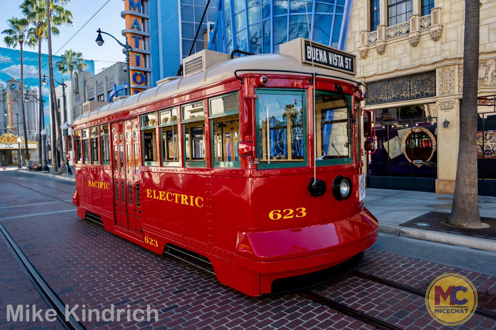 , Disneyland Update: Magic Key Crowds & Bats in the Belfry