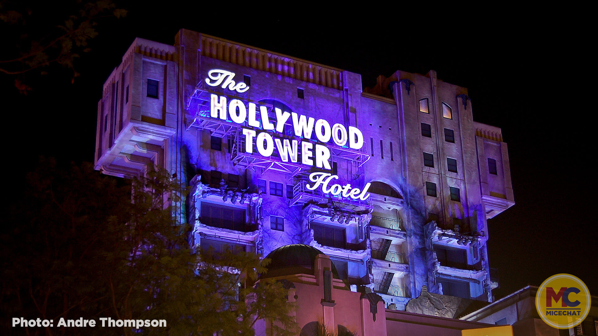 , Disneyland Update – Survey Says & Jungle News!