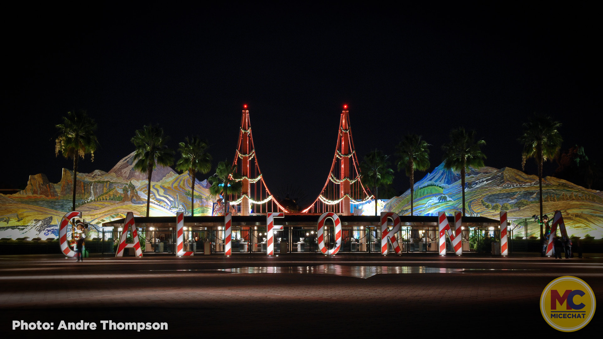 , Disneyland Update – Survey Says & Jungle News!