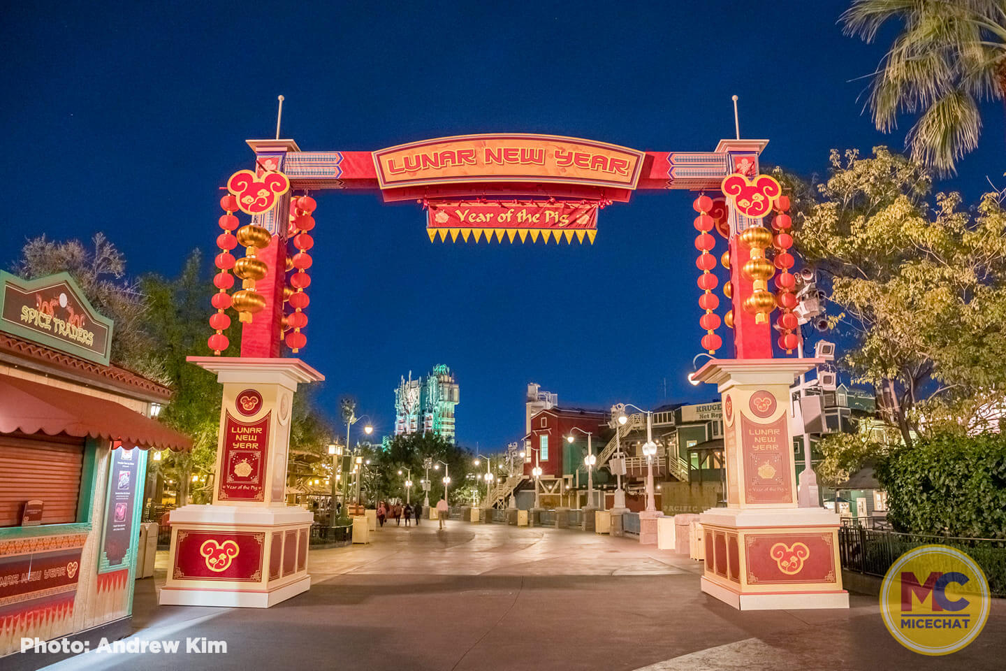 , Disneyland Update: Ticket Access, Potential Pricing, and New Features Ahead!