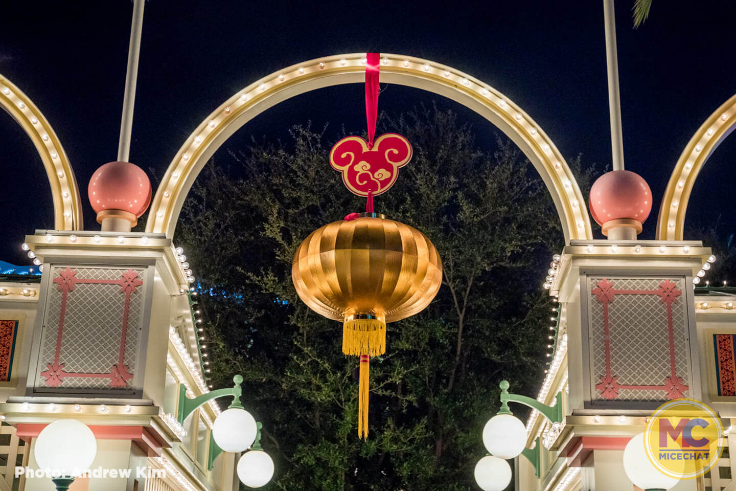 , Disneyland Update: Ticket Access, Potential Pricing, and New Features Ahead!