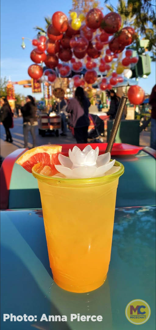 , Disneyland Update: Ticket Access, Potential Pricing, and New Features Ahead!